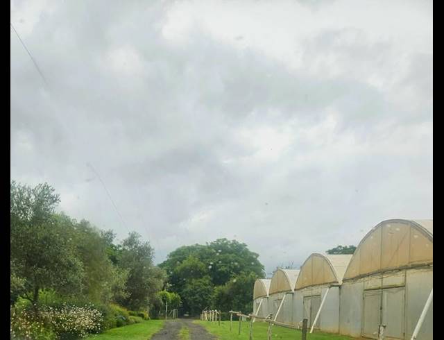 FARM FOR SALE IN BULTFONTEIN AH